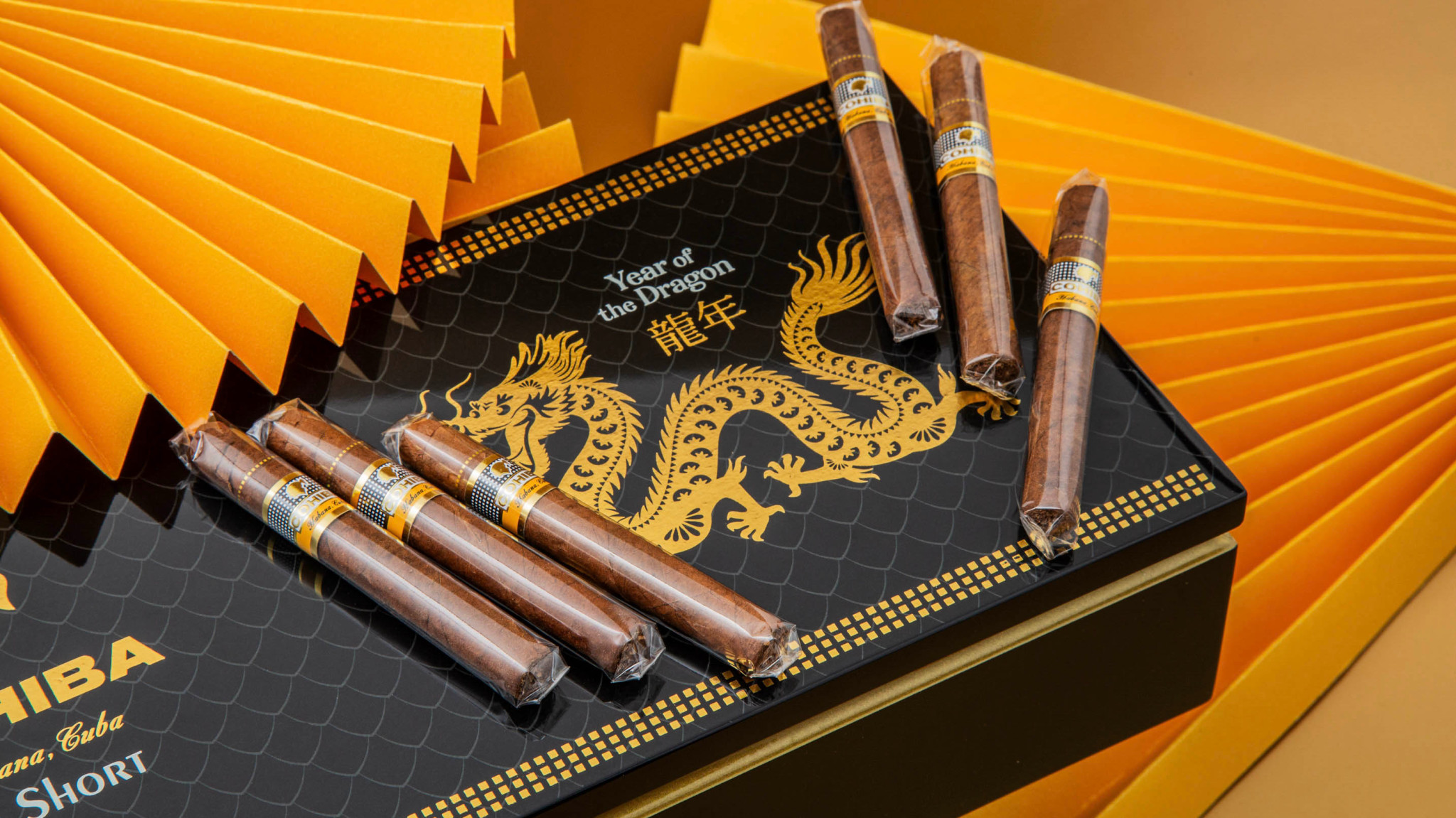 COHIBA そぐわない ヒュミドール 2024年限定 世界で21888個限定 龍年